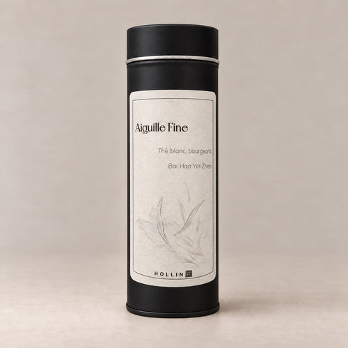 Aiguille Fine